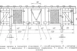 зайци