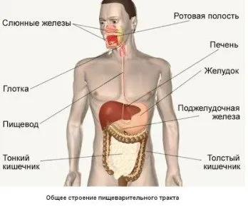 Какво причинява киселини, причини и лечение при жени и мъже