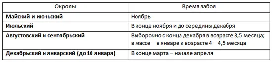 Условия за клане на зайци - Таблица за зайцевъди