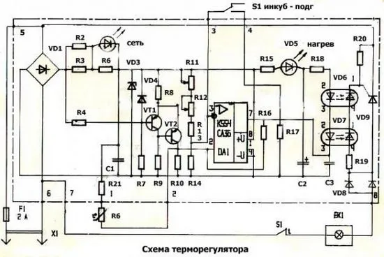 яйца