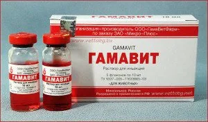 Gamavit за котки и котенца състав, инструкции за употреба, как да се инжектира лекарството, прегледи