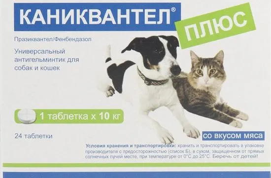 Canicquantel за котки прегледи, инструкции за употреба, противопоказания Murkote за котки и котки