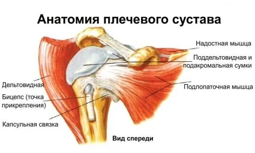 Операция на раменната става