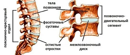 Спондилоартроза на лумбалния сакрален гръбнак, симптоми и лечение