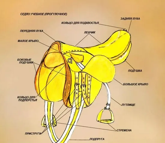 седло