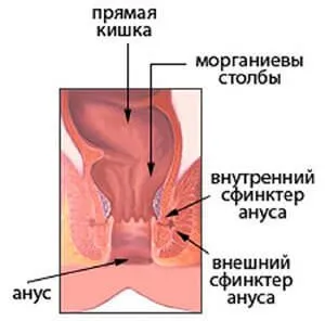 сфинктера