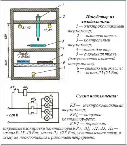 Направи си сам термостат за инкубатор