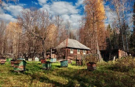 Проблеми и насоки на развитие на пчеларството в Беларус RoyPchel.ru