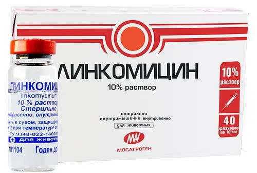 Lincomycin за котки мнения, инструкции за употреба, противопоказания Murkote за котки и котки