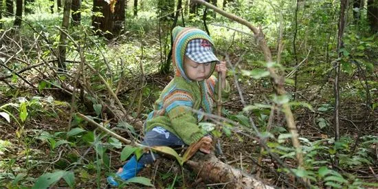 Какво да правя,ако детето е ухапано от кърлеж Симптоми на ухапване от кърлеж при дете