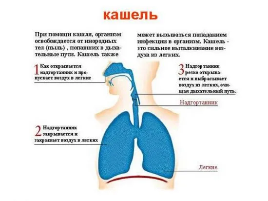 Защо детето кашля през нощта, но не и през деня