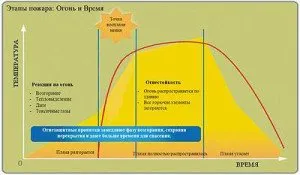 видове