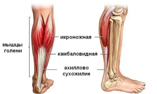 Операция на ахилесовото сухожилие