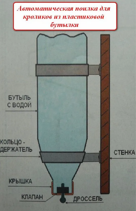 бутилка