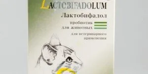 Лактобифадол за кучета и котки инструкции за употреба, мнения за пробиотици