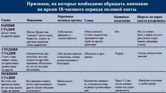 Кравата дойде в дивата природа, ние определяме началото