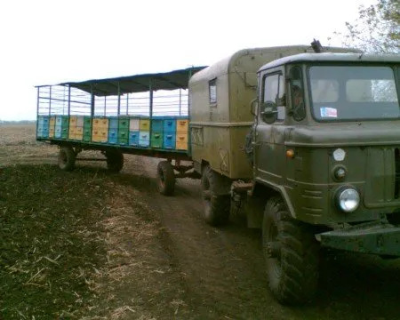 Снимка и организация на мобилния номадски пчелин