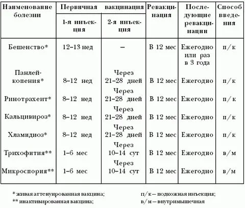 подробен