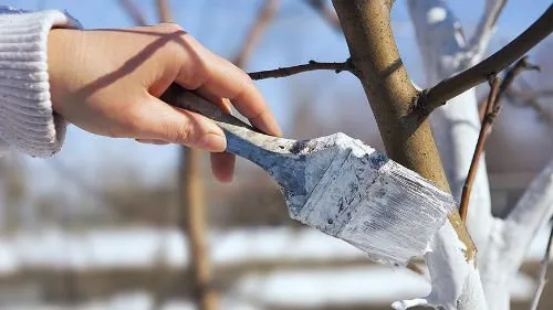 Календар на градинаря март 2017 г. благоприятни дни за засаждане през март