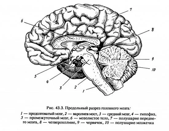 лечение