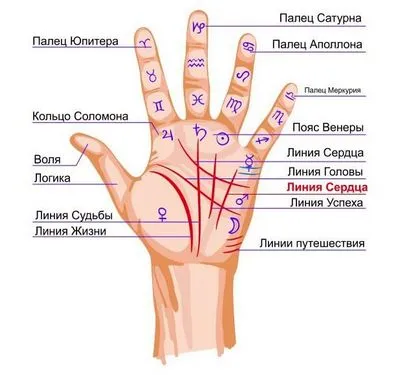 Линии на дланта. Значения на дясната, лявата ръка, които означават, хиромантия в снимки на прост език за жени и мъже. снимка