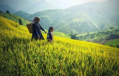 Scurte scenete despre ecologie pentru preșcolari 3-6 ani timp de 5 minute