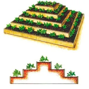 Patul piramidal pentru căpșuni este cu mai multe niveluri, pe mai multe niveluri, în cascadă, cum se face