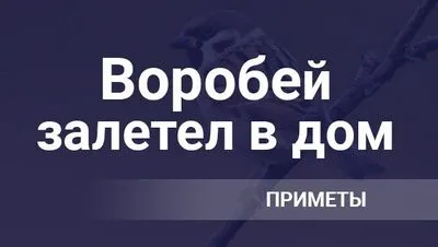 O vrabie a zburat într-o fereastră, într-un apartament sau într-o casă, ceea ce înseamnă un semn