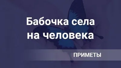 Пеперуда, кацнала върху ръката или лицето на човек, е знак