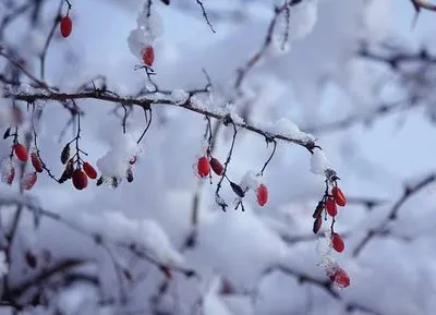 Prevestiri populare pentru 2 decembrie (Ziua Profetului Ovidiu), obiceiuri, rugăciuni, interpretare a viselor, talismane