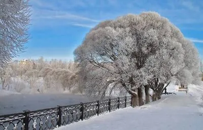 Народни поличби за 3 декември (Прокъл), суеверия, традиции, ритуали