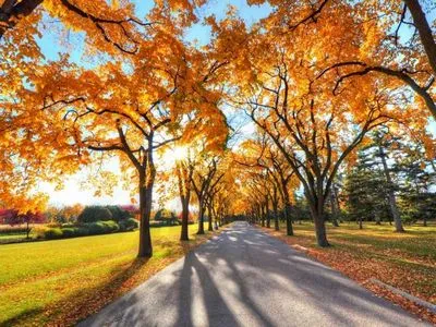 Semne populare ale lunii octombrie de zi, vreme, natură, sărbători