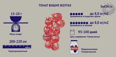 представителен