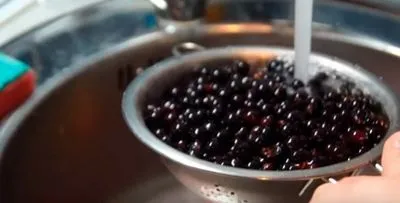 Infuzia de coacaze negre acasa este o reteta simpla