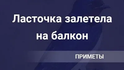 Лястовицата излетя на балкона или в къщата през прозореца, какво означава това