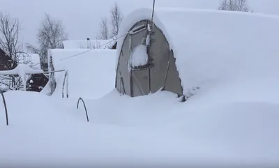 Необходимо е да затворите оранжерията от поликарбонат за зимата