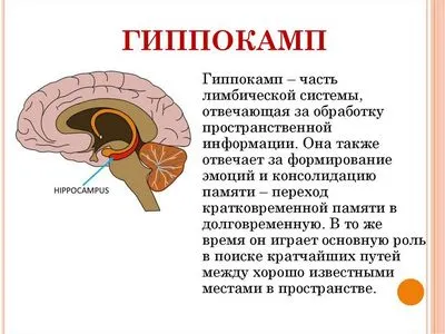 Причини, симптоми и лечение на дисоциативно разстройство на личността