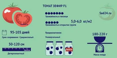 Домат със сладко име и проста селскостопанска технология. Как да отглеждаме Marshmallow F1 на открито