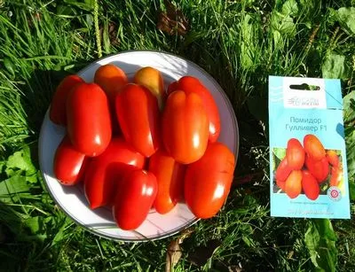 Tomato Gulliver Caracteristicile și descrierea unui soi cu maturare timpurie