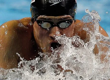 30 tipp, úszás három bajnok három kontinens