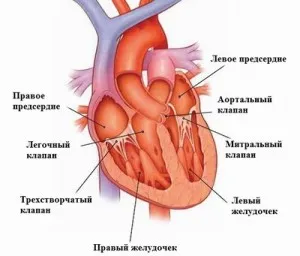 Suflule inimii sunt principalele cauze