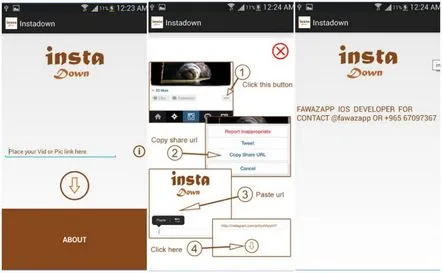 Programul pentru descărcarea fotografiilor de pe Instagram opțiuni populare