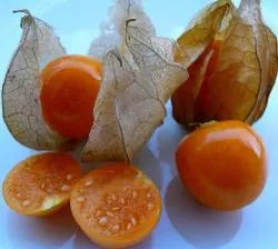 Beneficiile Physalis și proprietățile utile ale Physalis