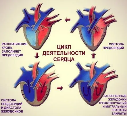 Simptome de insuficiență cardiacă, tratament, pastile