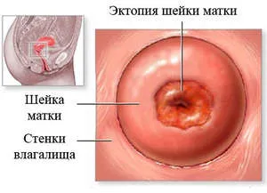 patologia