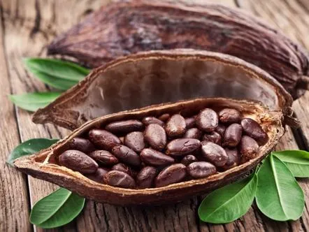 Cacao beneficiu sau dauna pentru copii