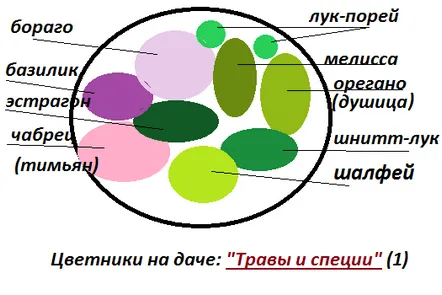 O grădină de flori cu condimentescheme de iarbă cu propriile mâini