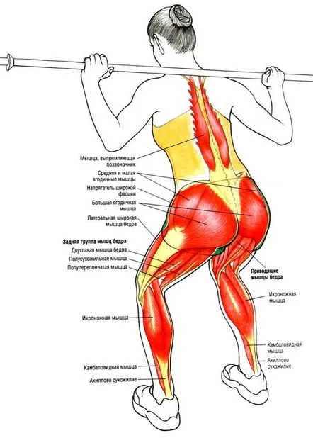 Cum să te ghemuiești corect cu o mreană - tehnică de exercițiu