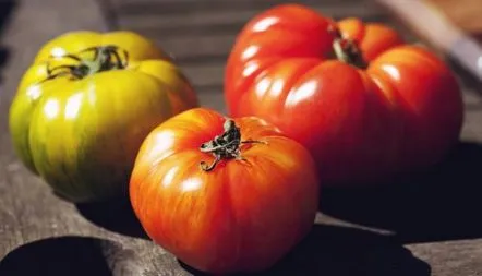 Descrierea soiului de tomate Yusupovsky, fotografii, recenzii