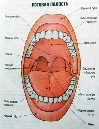 Ce pastile să alegi pentru o durere în gât